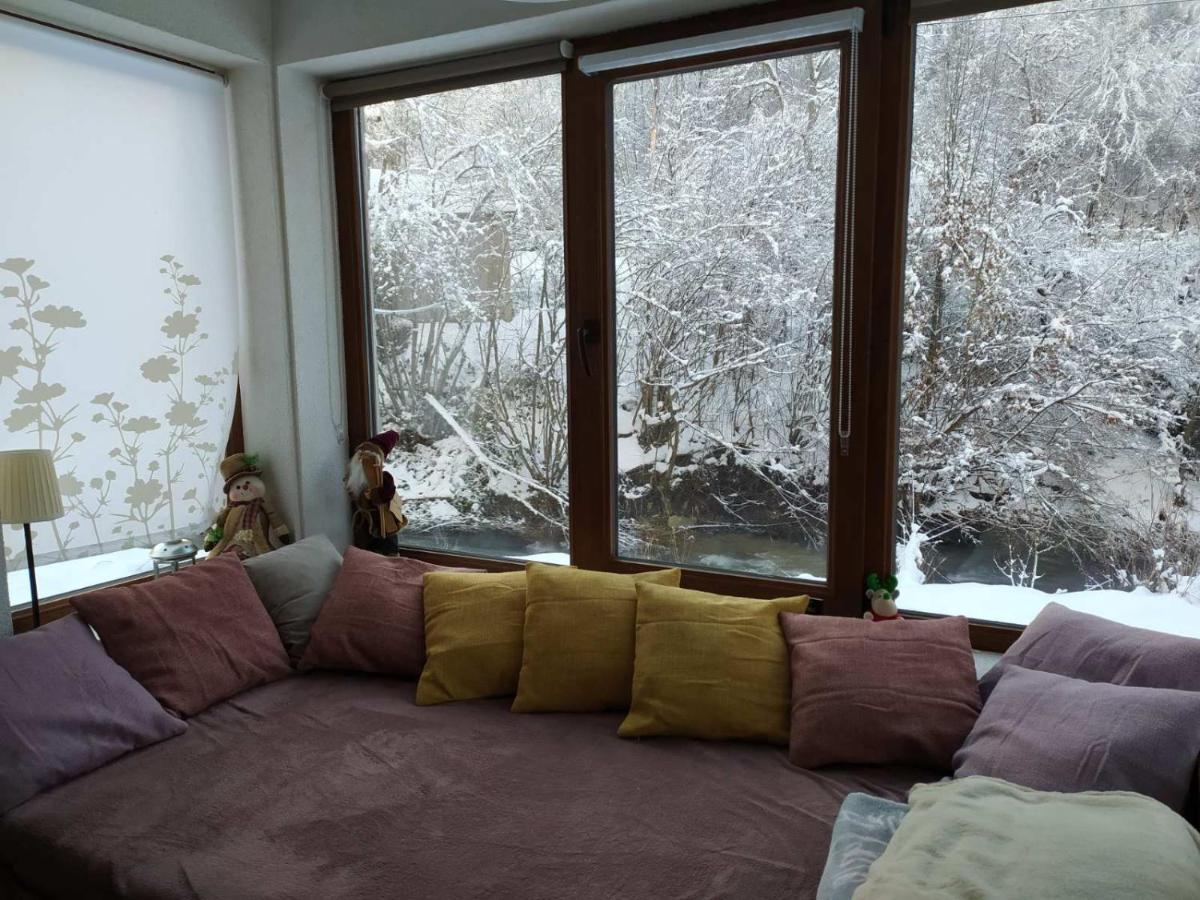 Zeleni Svet 2 *