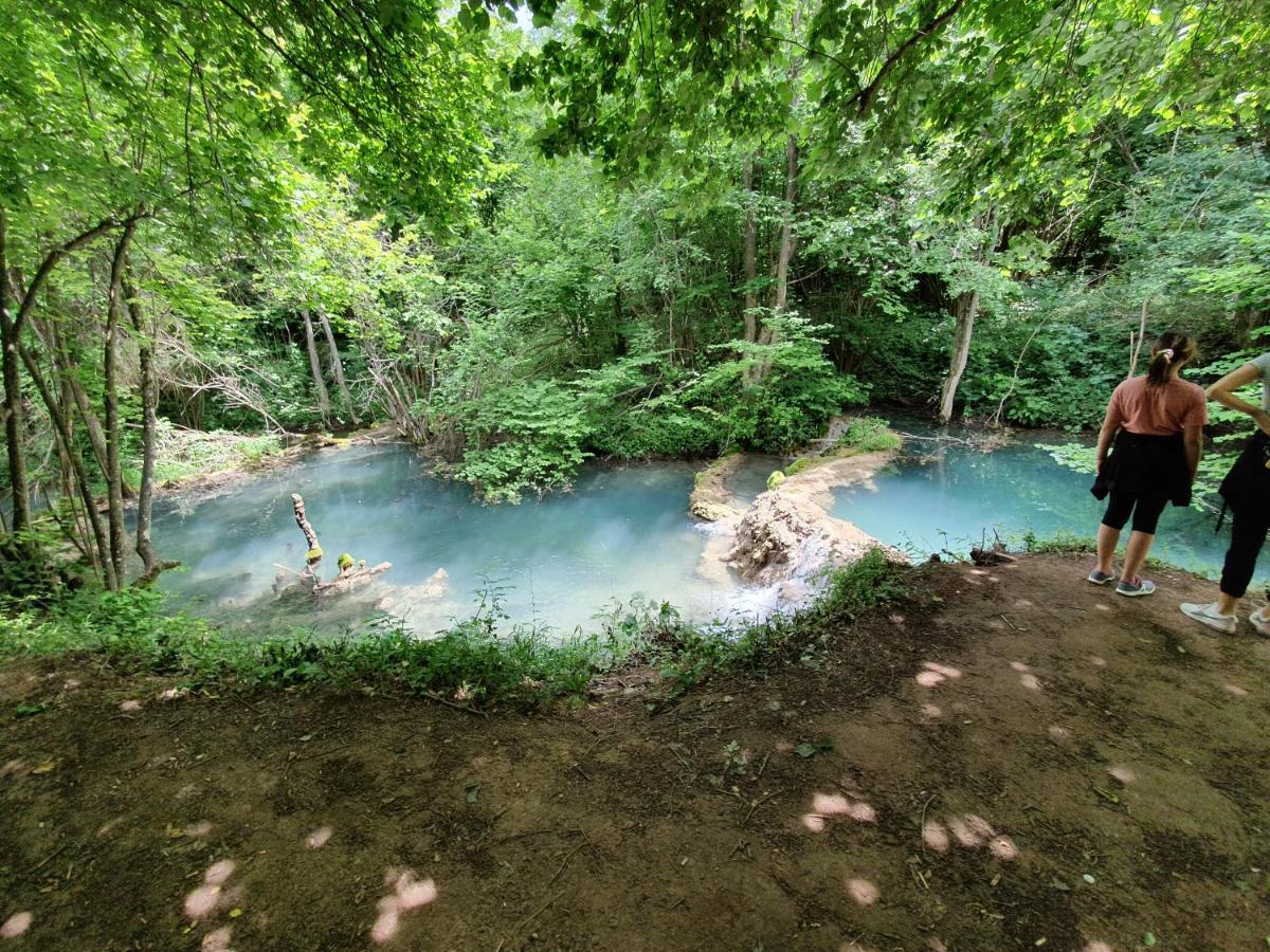 Zeleni Svet 2 Holiday home Crni Vrh