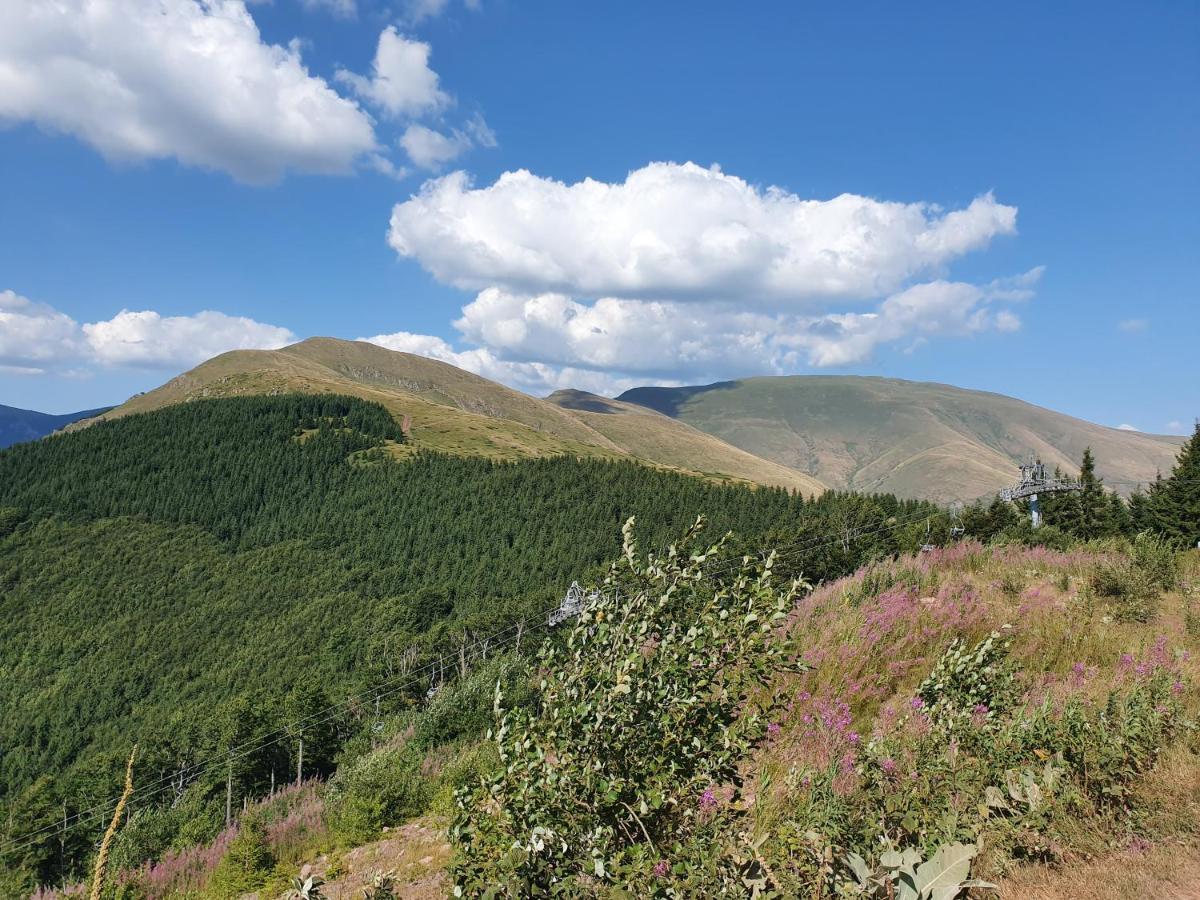 Zeleni Svet 2 Holiday home *