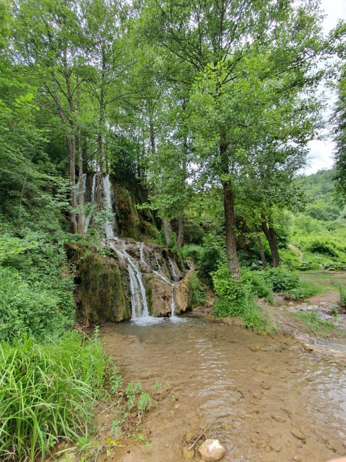 Zeleni Svet 2 Holiday home *